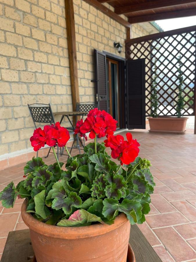 Agriturismo Antiglia Sovana Exterior foto